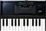 TECLADO K 25M ROLAND BOUTIQUE