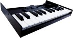 TECLADO K 25M ROLAND BOUTIQUE 2