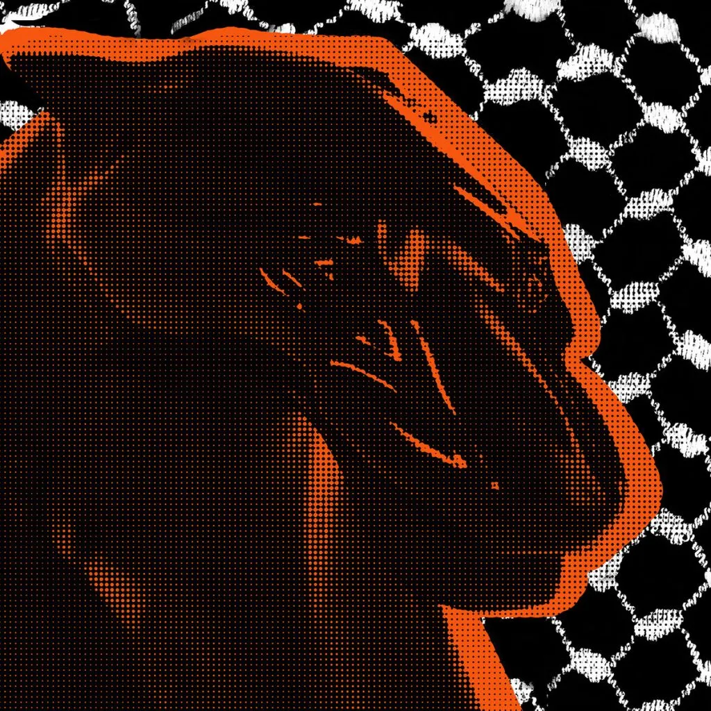 a1583687054 10