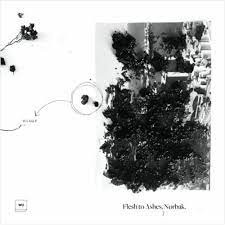 Nørbak – Flesh To Ashes
